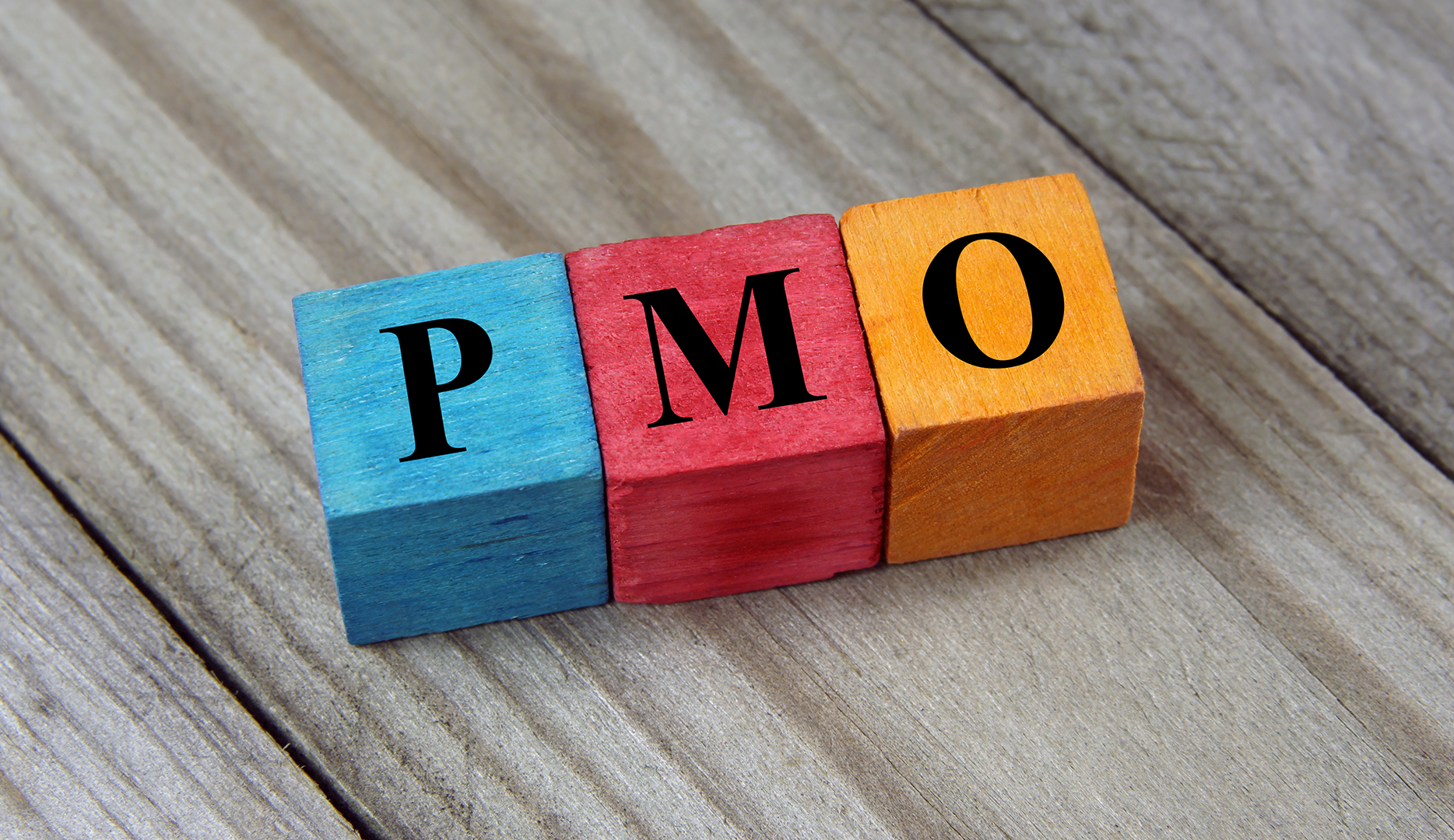 PMO with a new slant Achieving Excellence in a Challenging Business...